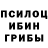 Галлюциногенные грибы GOLDEN TEACHER Boser Turke