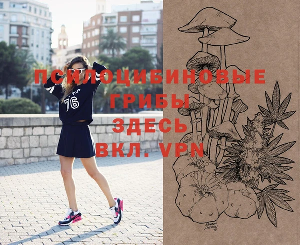 прущие грибы Абинск