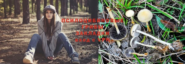 первитин Алексин