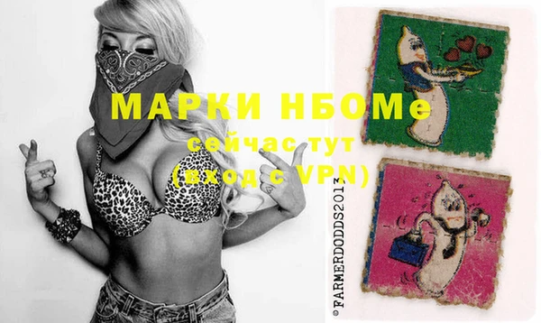 прущие грибы Абинск