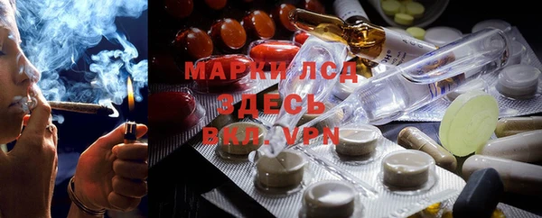 прущие грибы Абинск