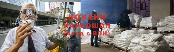 прущие грибы Абинск