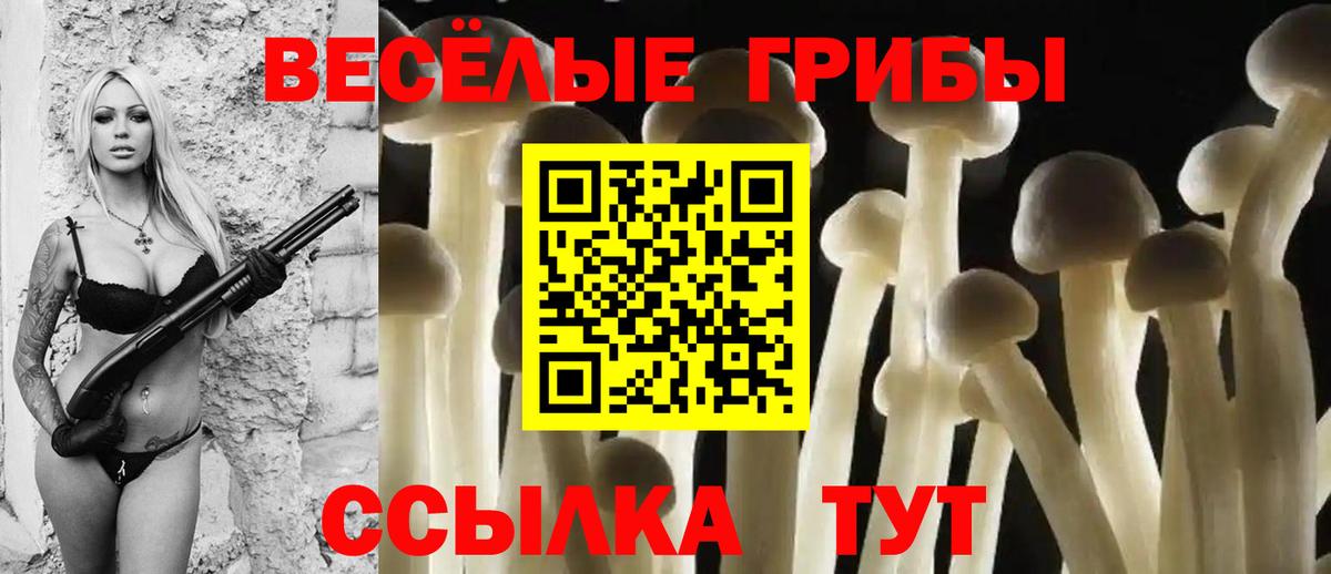 Псилоцибиновые грибы мухоморы  Вход с VPN  Туапсе 